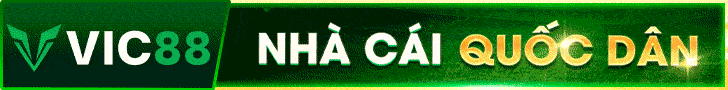 banner vic88